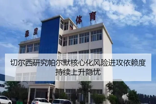 切尔西研究帕尔默核心化风险进攻依赖度持续上升隐忧